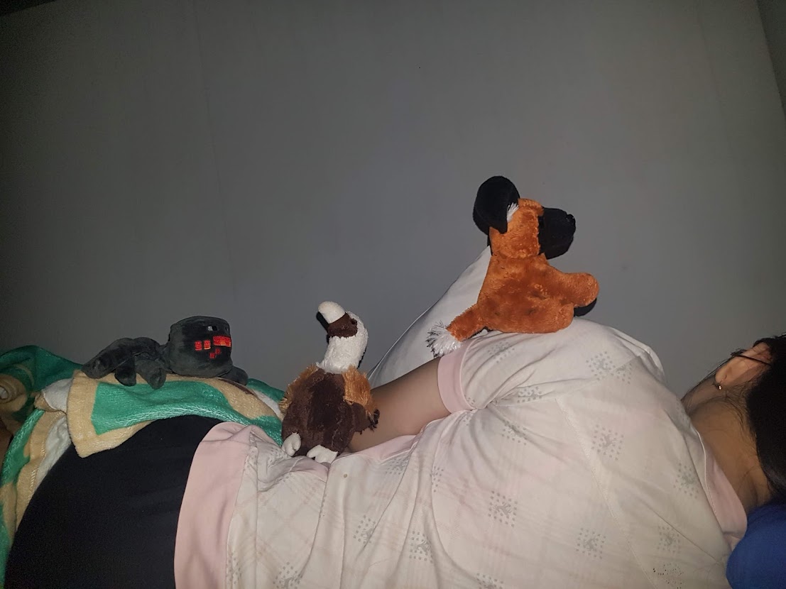 Tidur sama Boneka